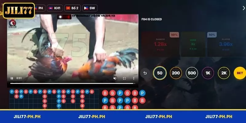 Learn about JILI77 Cockfight odds and payout rates